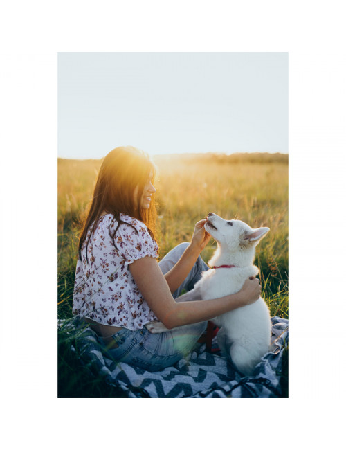 Frisbee dla psa Hop, niebieski 