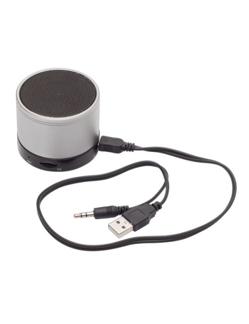 Głośnik Partybeat z radiem FM, srebrny 